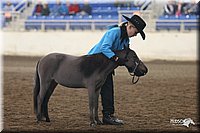 4H-State-Show-2005-0407.jpg