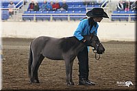 4H-State-Show-2005-0408.jpg