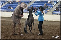 4H-State-Show-2005-0410.jpg