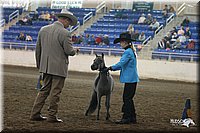 4H-State-Show-2005-0411.jpg