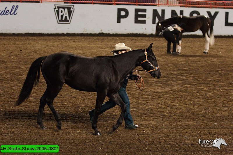 4H-State-Show-2005-0801.jpg