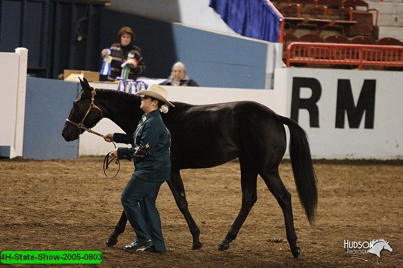 4H-State-Show-2005-0803.jpg