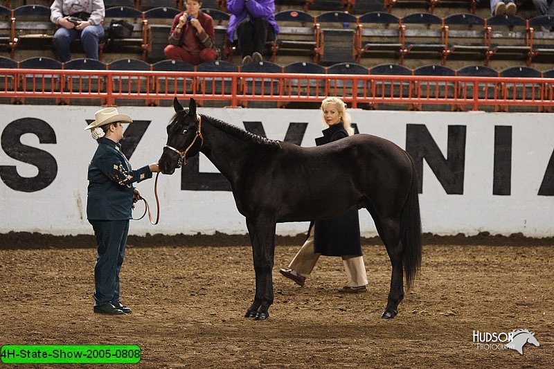 4H-State-Show-2005-0808.jpg