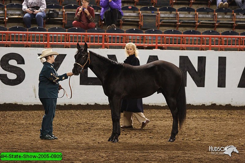 4H-State-Show-2005-0809.jpg