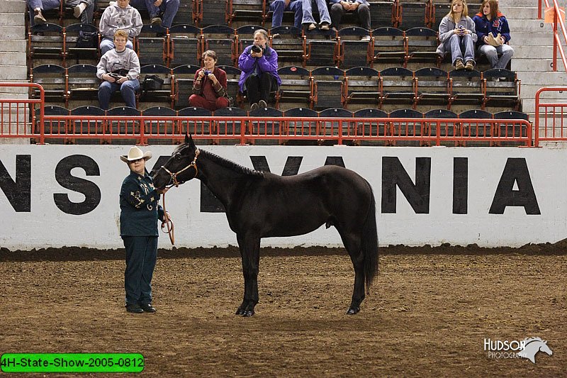 4H-State-Show-2005-0812.jpg