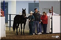 4H-State-Show-2005-0793.jpg