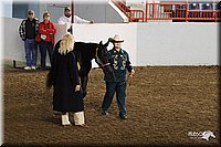 4H-State-Show-2005-0794.jpg