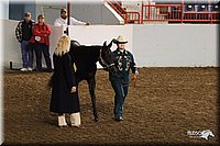 4H-State-Show-2005-0795.jpg