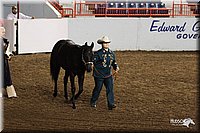 4H-State-Show-2005-0797.jpg