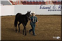 4H-State-Show-2005-0798.jpg