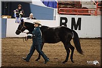 4H-State-Show-2005-0802.jpg