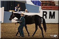 4H-State-Show-2005-0803.jpg