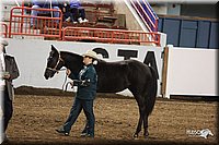 4H-State-Show-2005-0804.jpg