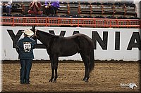 4H-State-Show-2005-0805.jpg