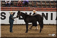 4H-State-Show-2005-0808.jpg