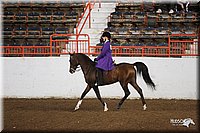 4H-State-Show-2005-0917.jpg