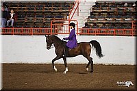 4H-State-Show-2005-0918.jpg