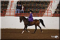 4H-State-Show-2005-0919.jpg