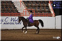 4H-State-Show-2005-0920.jpg