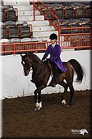 4H-State-Show-2005-0924.jpg