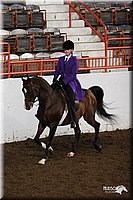 4H-State-Show-2005-0925.jpg