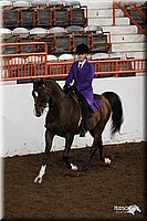 4H-State-Show-2005-0926.jpg