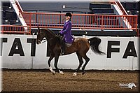 4H-State-Show-2005-0932.jpg