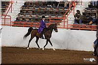 4H-State-Show-2005-0935.jpg