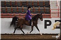 4H-State-Show-2005-0940.jpg