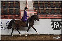 4H-State-Show-2005-0941.jpg