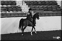 4H-State-Show-2005-0944.jpg