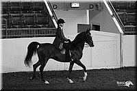 4H-State-Show-2005-0946.jpg