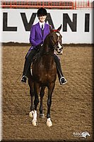 4H-State-Show-2005-0947.jpg