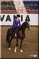 4H-State-Show-2005-0950.jpg