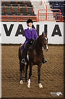 4H-State-Show-2005-0953.jpg