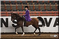 4H-State-Show-2005-0958.jpg