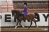 4H-State-Show-2005-0959.jpg