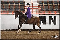 4H-State-Show-2005-0960.jpg