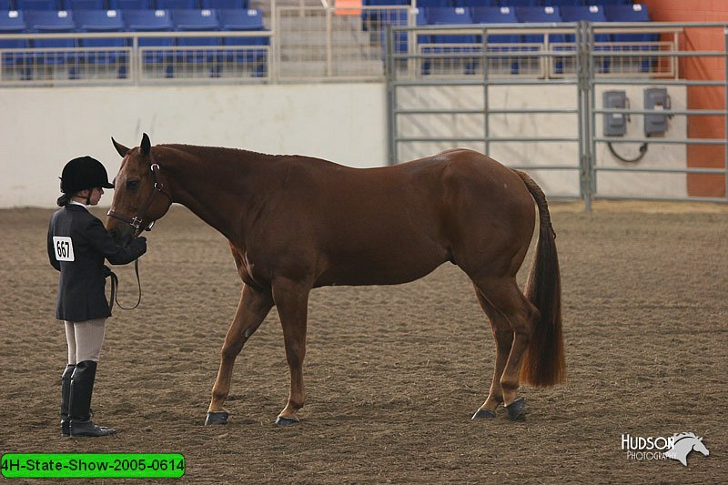 4H-State-Show-2005-0614.jpg