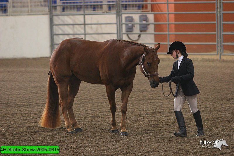 4H-State-Show-2005-0615.jpg