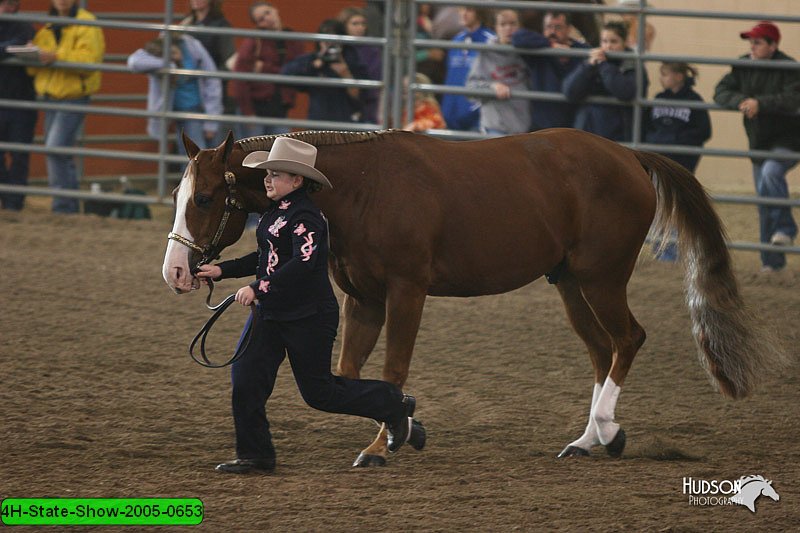 4H-State-Show-2005-0653.jpg