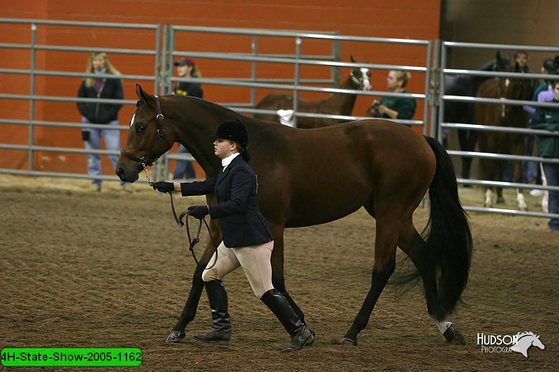 4H-State-Show-2005-1162.jpg