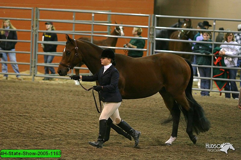 4H-State-Show-2005-1163.jpg