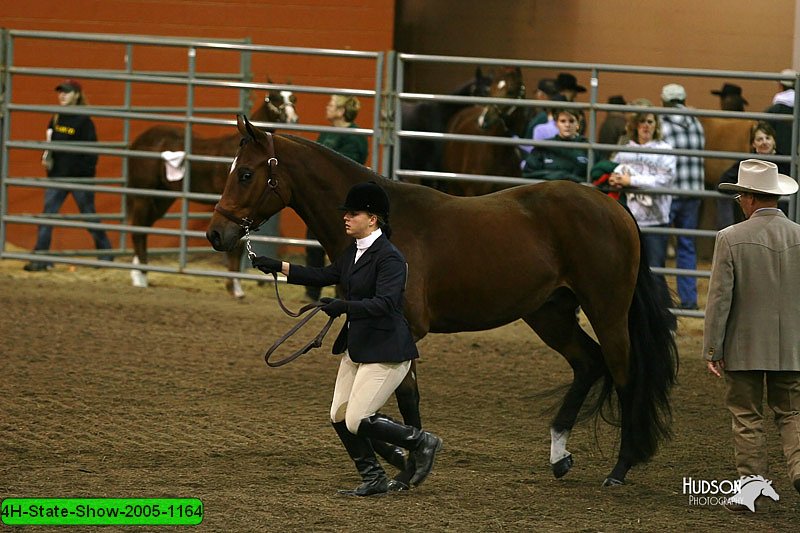 4H-State-Show-2005-1164.jpg