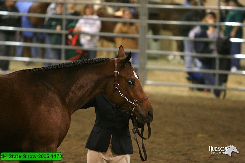 4H-State-Show-2005-1173.jpg