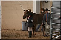 4H-State-Show-2005-0599.jpg