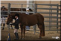 4H-State-Show-2005-0603.jpg