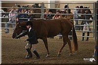 4H-State-Show-2005-0605.jpg