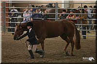 4H-State-Show-2005-0606.jpg