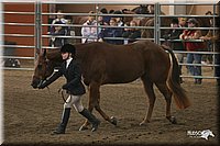 4H-State-Show-2005-0607.jpg